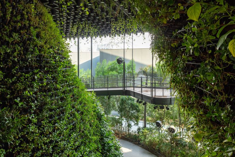 نمای داخلی و فضای سبز در پاویون سنگاپور در اکسپو دبی ۲۰۲۰